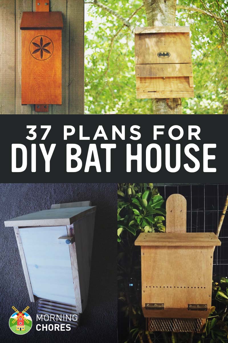 37 Free DIY Bat House Plans that Will Attract the Natural 