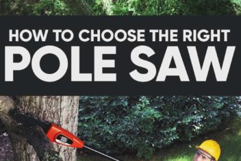 7 Best Pole Saw for Pruning Reviews