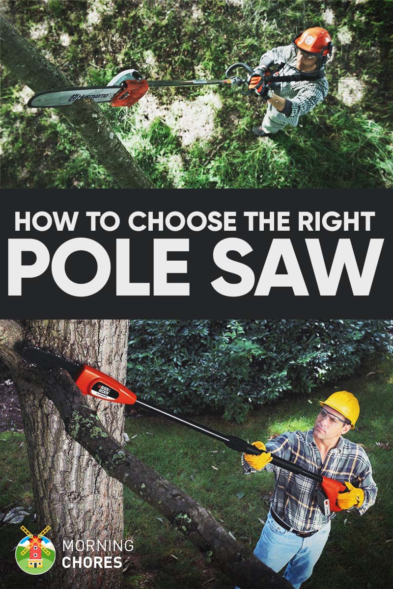 7 Best Pole Saw for Pruning Reviews