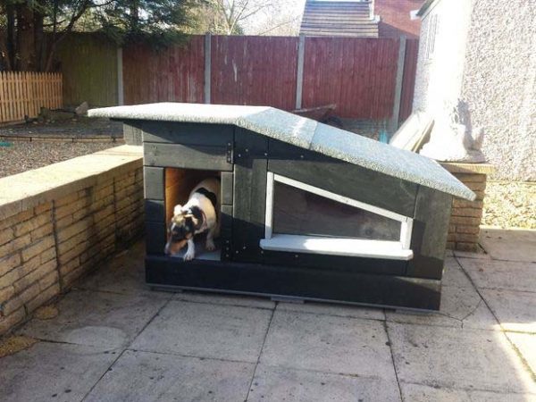 Pallet dog house plans