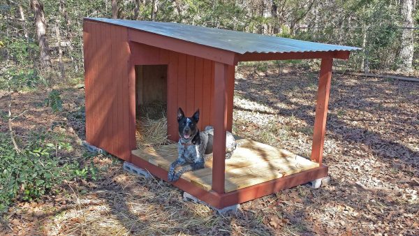 36 Free Diy Dog House Plans Ideas For, How To Build Outdoor Dog House