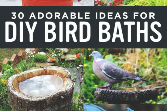 30 Adorable DIY Bird Bath Ideas That Are Easy and Fun to Build