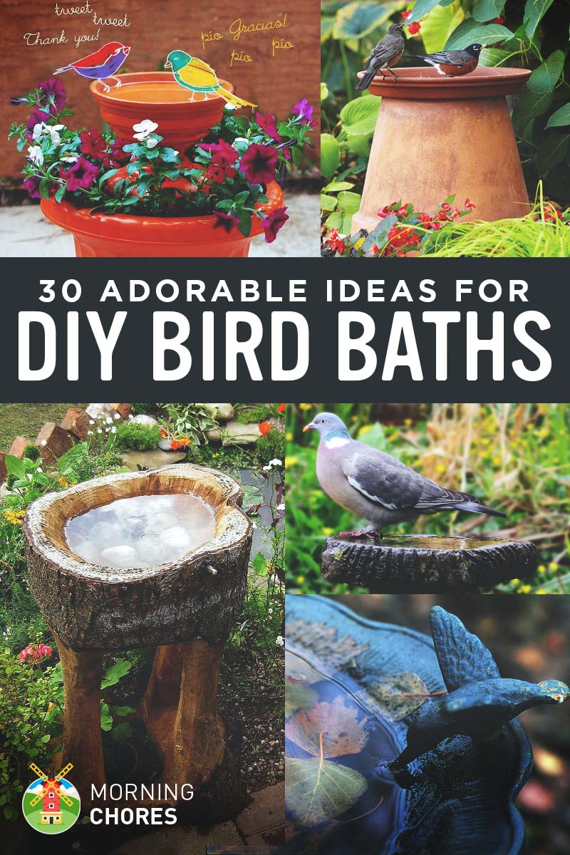30 Adorable Diy Bird Bath Ideas That, Ground Level Bird Baths