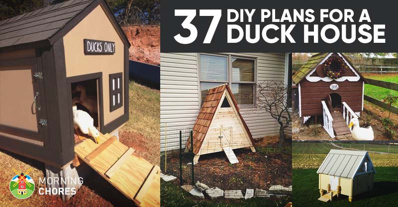 37 Free Diy Duck House Coop Plans Ideas That You Can Easily Build - Diy Duck House For Winter