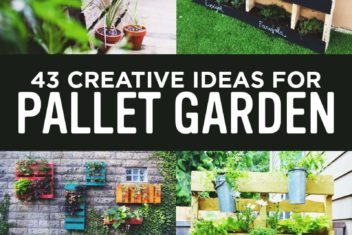 43 Gorgeous DIY Upcycled Pallet Garden Ideas