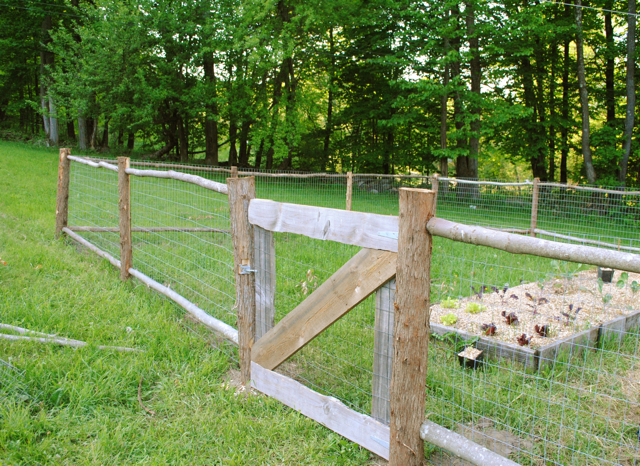 30 Diy Fence Ideas For Your Garden Privacy Or Perimeter - Easy Garden Fence