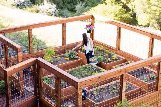 Diy Fence Ideas For Your Garden, Diy Veg Garden Fence