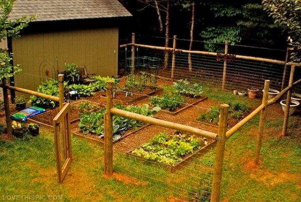 Fence Ideas For Your Garden, Inexpensive Vegetable Garden Fencing Ideas