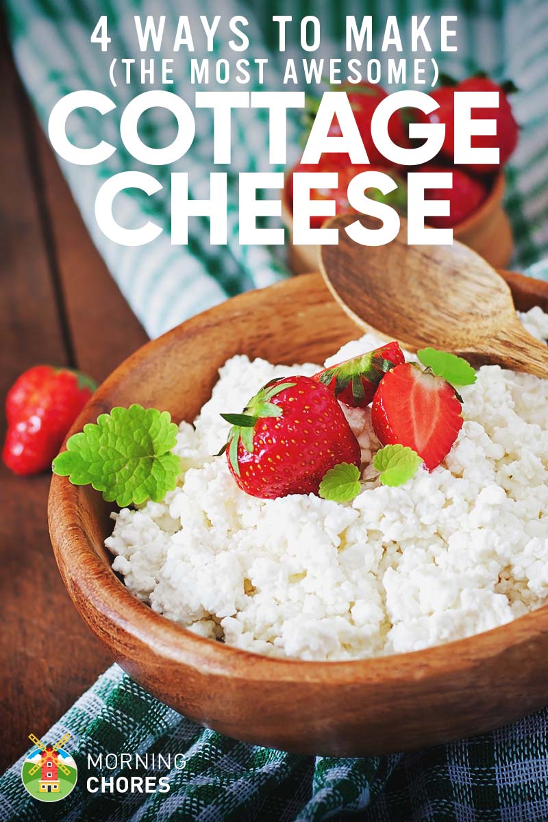 How To Make The Best Cottage Cheese Ever In 4 Different Easy Ways
