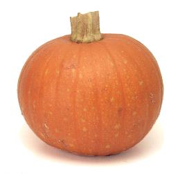 pumpkin-squash