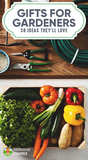 Budget Friendly Gifts For Gardeners, Gifts For Veggie Gardeners