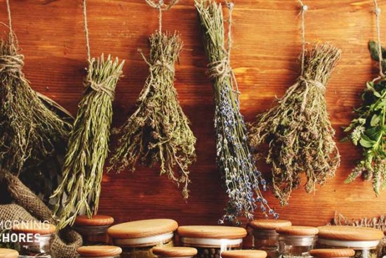 Drying Herbs: 4 Easy Methods to Preserve Your Herb Harvest