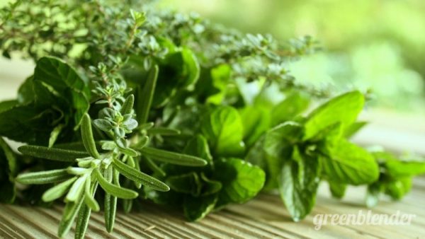 Healthy-Herbs