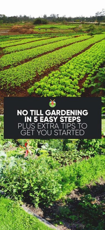 easiest way to till a garden without a tiller