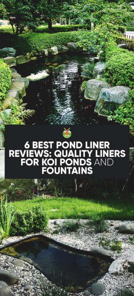 6 Best Pond Liner Reviews: Quality Liners for Koi Ponds and Fountains