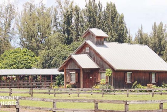 8 Tips You Absolutely Need When Purchasing Your Perfect Homestead