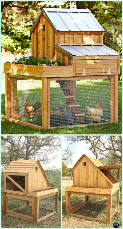 61 Free DIY Chicken Coop Plans and Ideas That Are Easy to Build