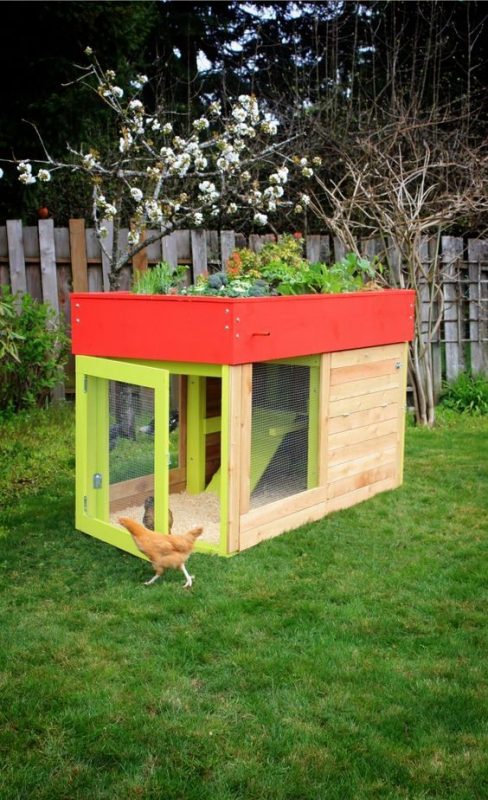 61 Free Diy Chicken Coop Plans Ideas That Are Easy To Build
