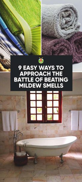 How To Get Rid Of Mildew Smell In Your House 9 Easy Ways - How To Get Rid Of Humid Smell In Bathroom
