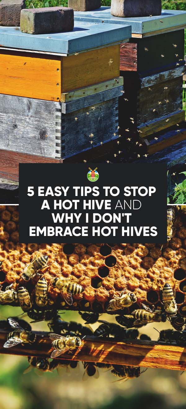 How to stop hive