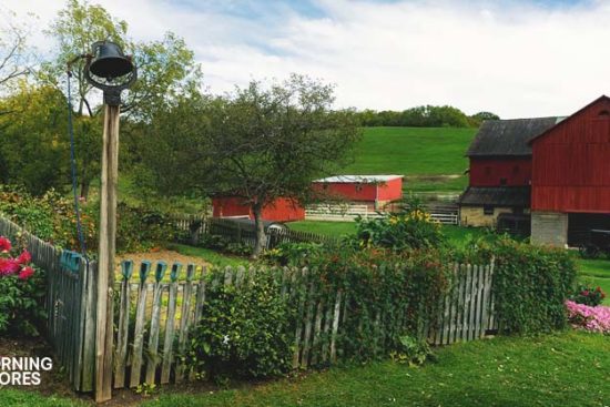 9 Quick and Easy Tips on Creating a Low Maintenance Homestead
