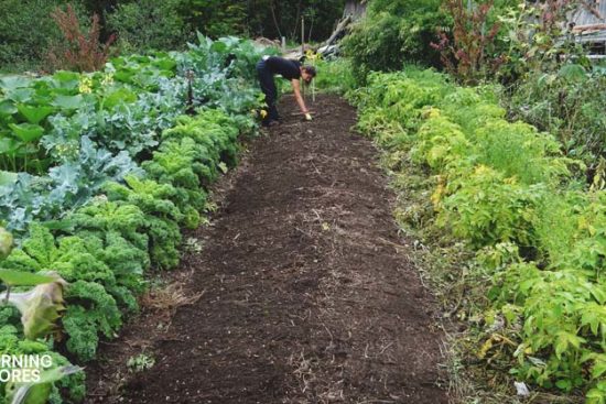 9 Homesteading Shortcuts to Make the Simple Life Even Easier