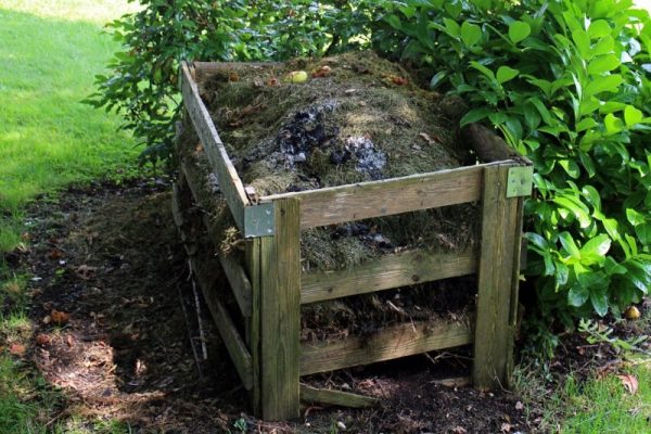Homestead Anywhere Compost 5 Ways to Use Duck Poop to Enrich Your Edible Landscape Soil