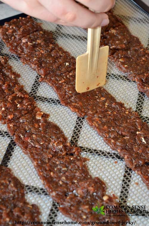 36 Delicious Beef Jerky Recipes to Satisfy Your Snack Cravings - Page 2 of 2