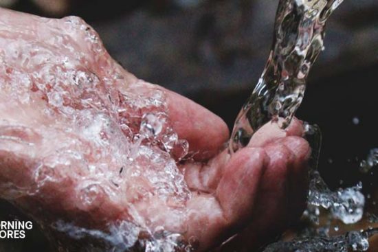 22 Surprisingly Easy Ways to Save Water That You Can Do at Home