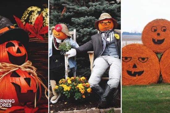 54 Fantastic Jack-O-Lantern Pumpkin Carving Ideas to Inspire You