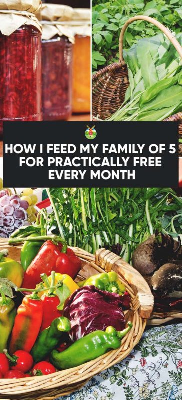 How I Feed My Family of 5 for Practically Free Every Month