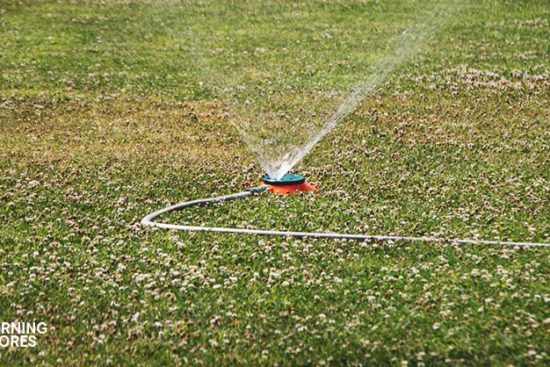 5 Best Sprinkler Controller Reviews: Smart Water-Saving Garden Gadgets
