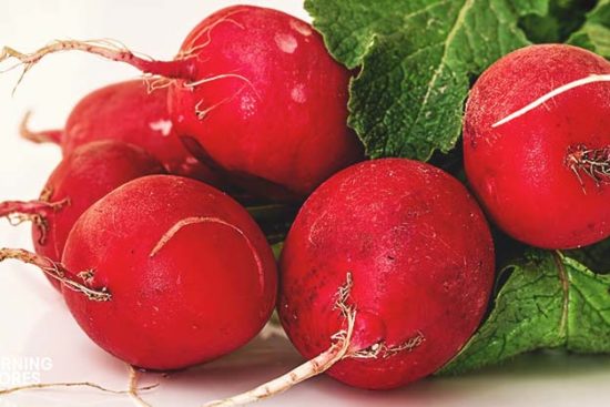 5 Simple Methods to Store Radishes (and 5 Recipes You Should Try)