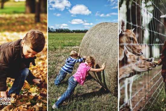 Kids on the Homestead: 57 Age Appropriate Chores to Keep Everyone Busy