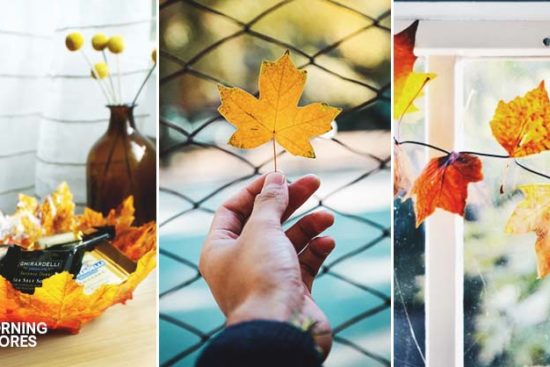19 Inspiring Fall Leaf Crafts Perfect for Bringing the Outside In