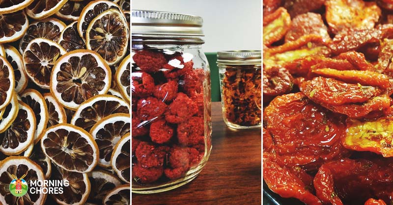 47 Perfectly Delicious Dehydrator Recipes You Will Want to Try