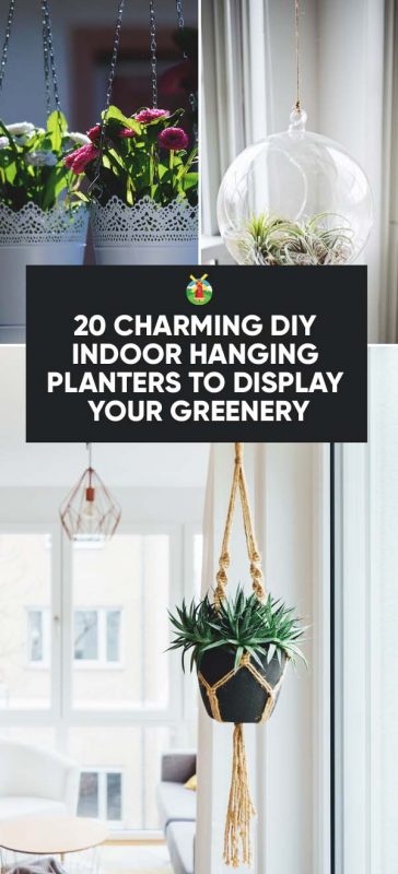 20 Charming Diy Indoor Hanging Planters