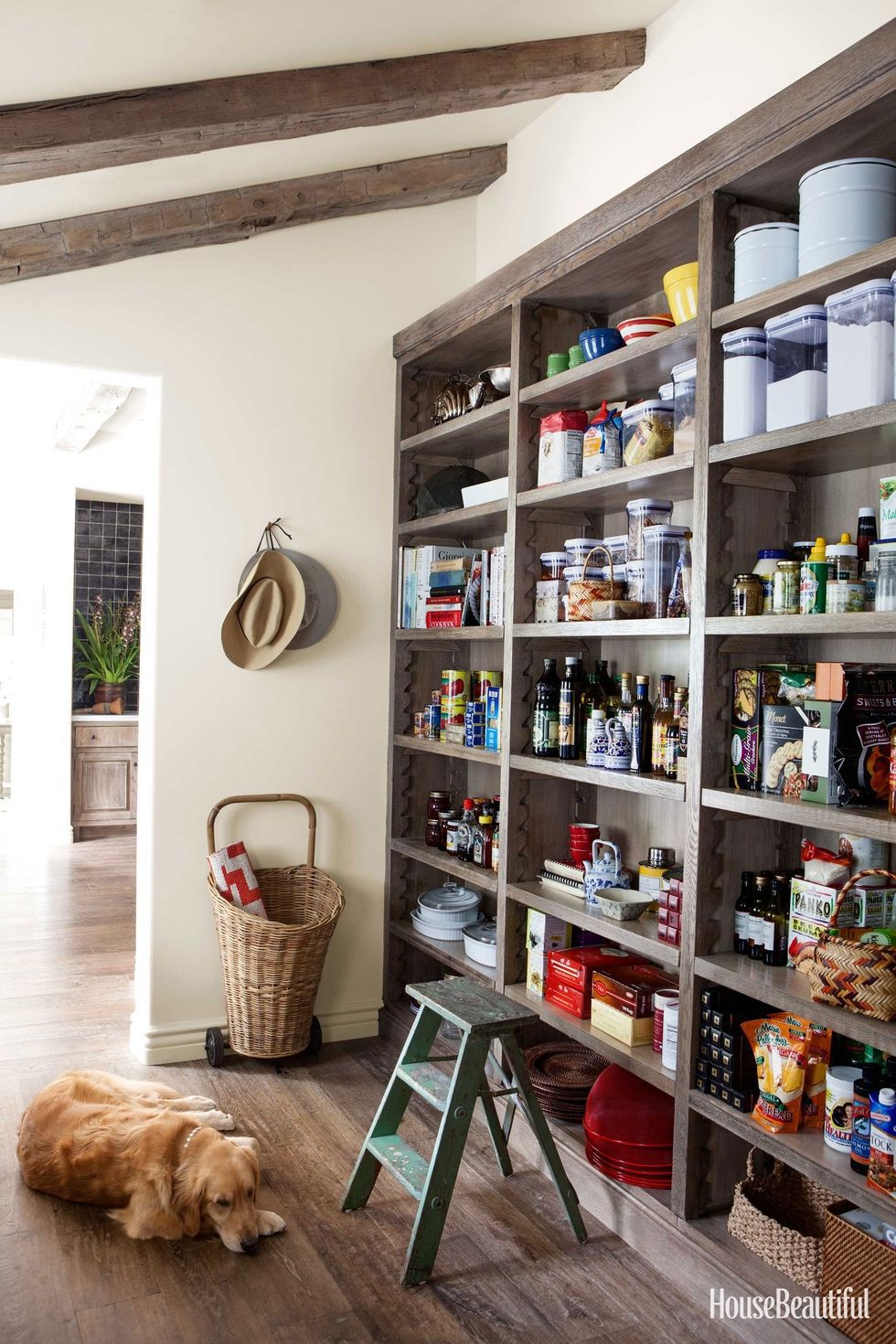 30 Unique Kitchen Pantry Ideas to Make Your Kitchen Efficient