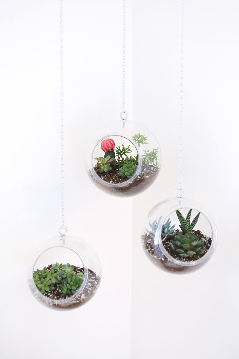 20 Charming DIY Indoor Hanging Planters to Display Your Greenery