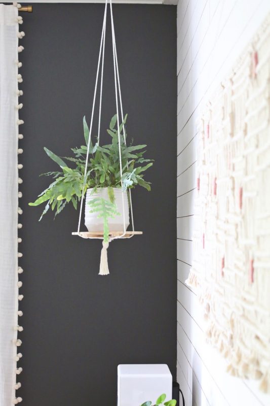 diy indoor hanging planters