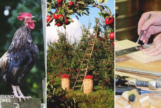 10 Perfect New Year Resolutions for Every Homesteader