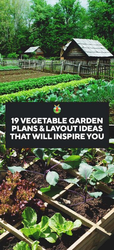 19 Vegetable Garden Plans Layout Ideas That Will Inspire You