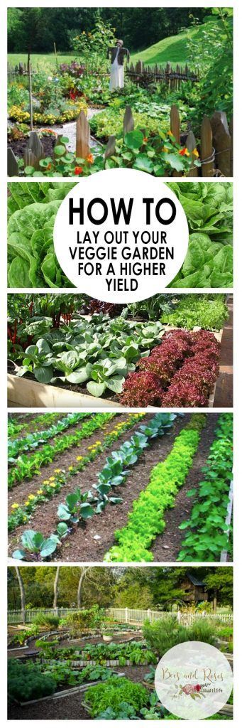 Vegetable Garden Plans Layout Ideas, How To Layout A Vegetable Garden