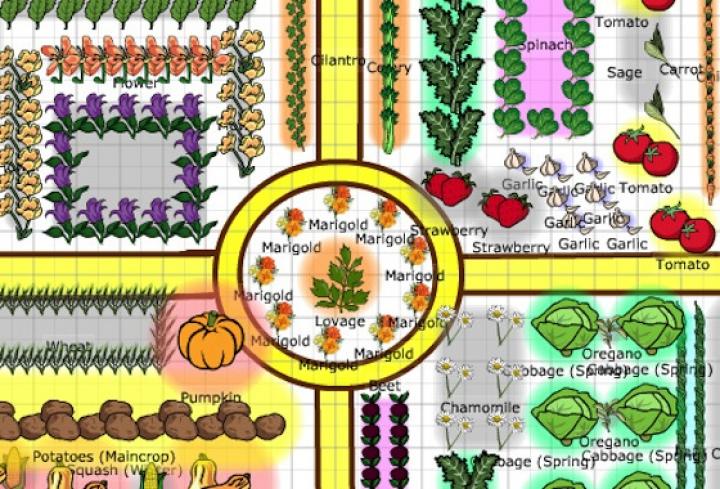 garden vegetable plans plan layout planting easy planning kitchen inspire beds