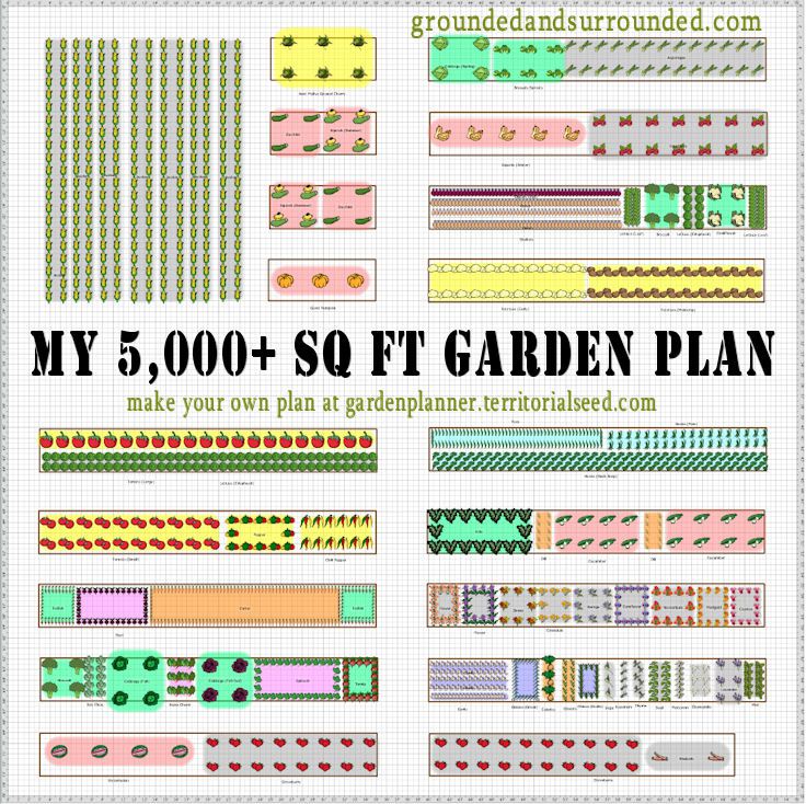 Vegetable Garden Plans Layout Ideas, Sample Vegetable Garden Layout