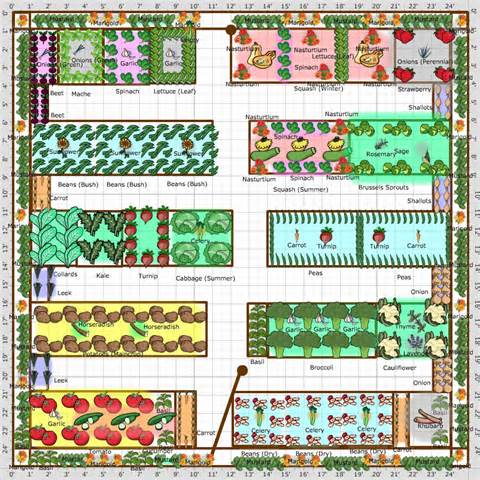 Vegetable Garden Plans Layout Ideas, Vegetable And Herb Garden Layout