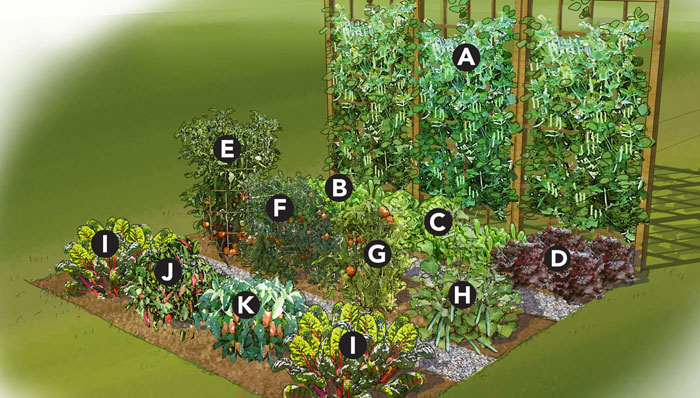 19 Vegetable Garden Plans Layout Ideas That Will Inspire You - Small Vegetable Gardens Images
