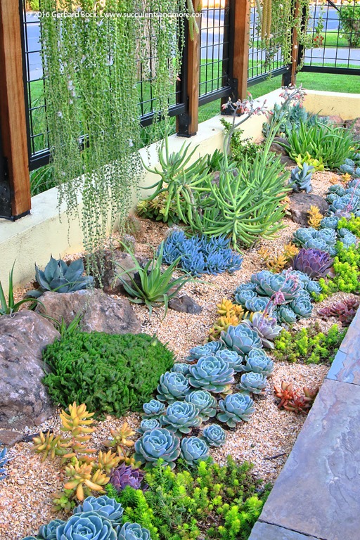 100 Succulent Garden Ideas for Uniqueness and Intrigue in Your Garden -  Page 3 of 4