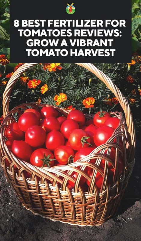 8 Best Fertilizer for Tomatoes Reviews