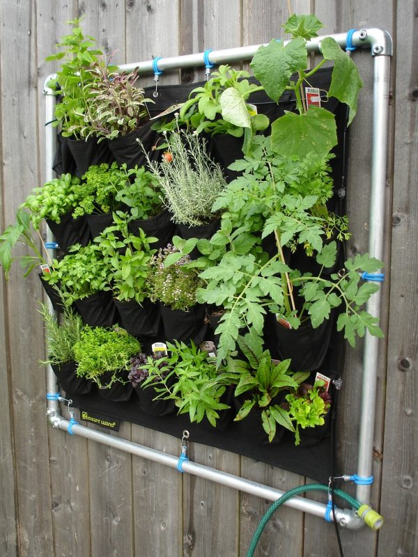 Vertical gardening methods